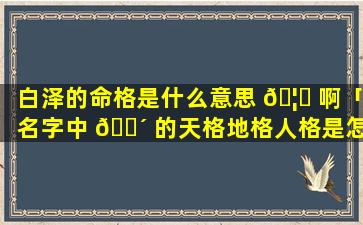 白泽的命格是什么意思 🦍 啊「名字中 🌴 的天格地格人格是怎么回事」